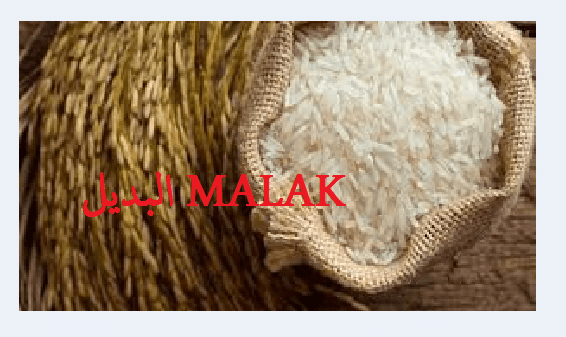 الطن وصل كام.. سعر الأرز الشعير اليوم الخميس 25 يوليو 2024 في الأسواق المحلية بداية التعاملات الصباحية