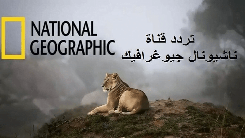 “اكتشف أسرار الكون”.. ثبت الآن تردد قناة ناشيونال جيوغرافيك الجديد 2024 على نايل سات وعرب سات