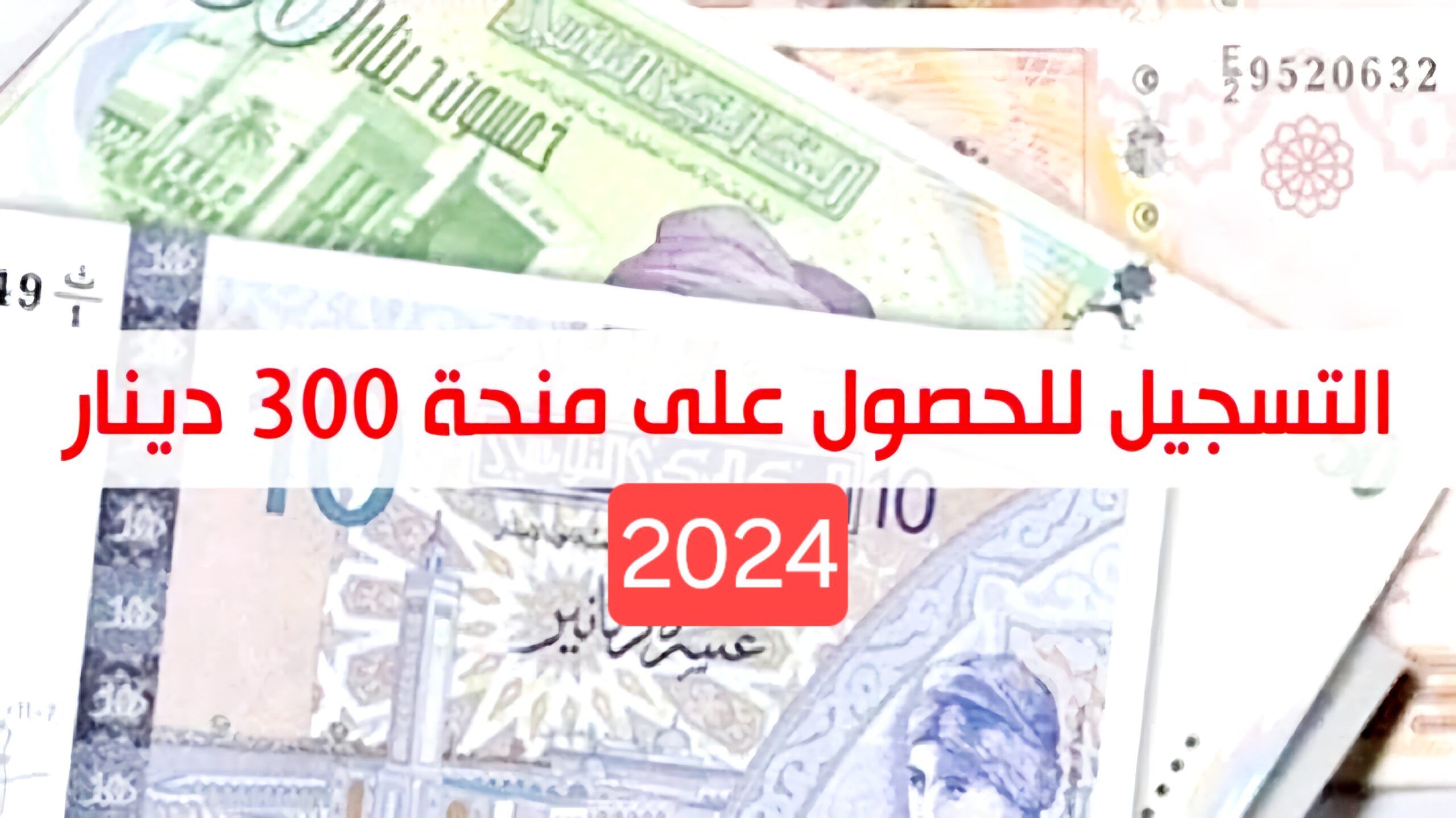قم بالتسجيل الآن في منحة تونس 300 دينار عبر موقع وزارة الشؤن بتونس 2024