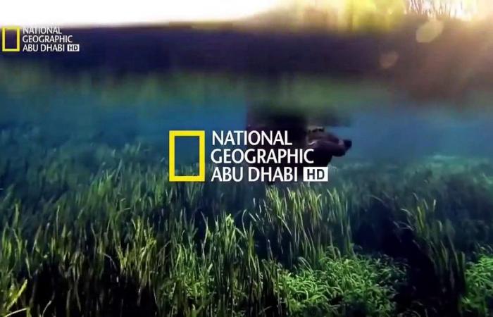 بالريموت.. ثبت الان تردد قناة ناشيونال جيوغرافيك الجديد National Geographic