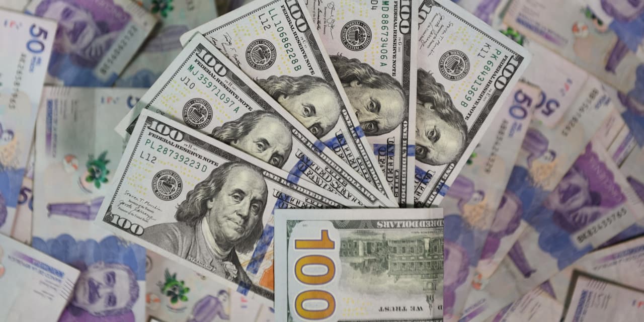 هبوط مستمر أم بداية لصعود جديد؟ تعرف على آخر تحديثات سعر الدولار في الجزائر وتحليلات سوق الصرف