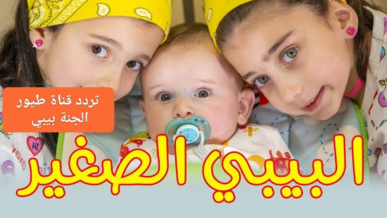 البيبي الصغير .. HD تردد قناة طيور الجنة 2024 على جميع الأقمار الصناعية