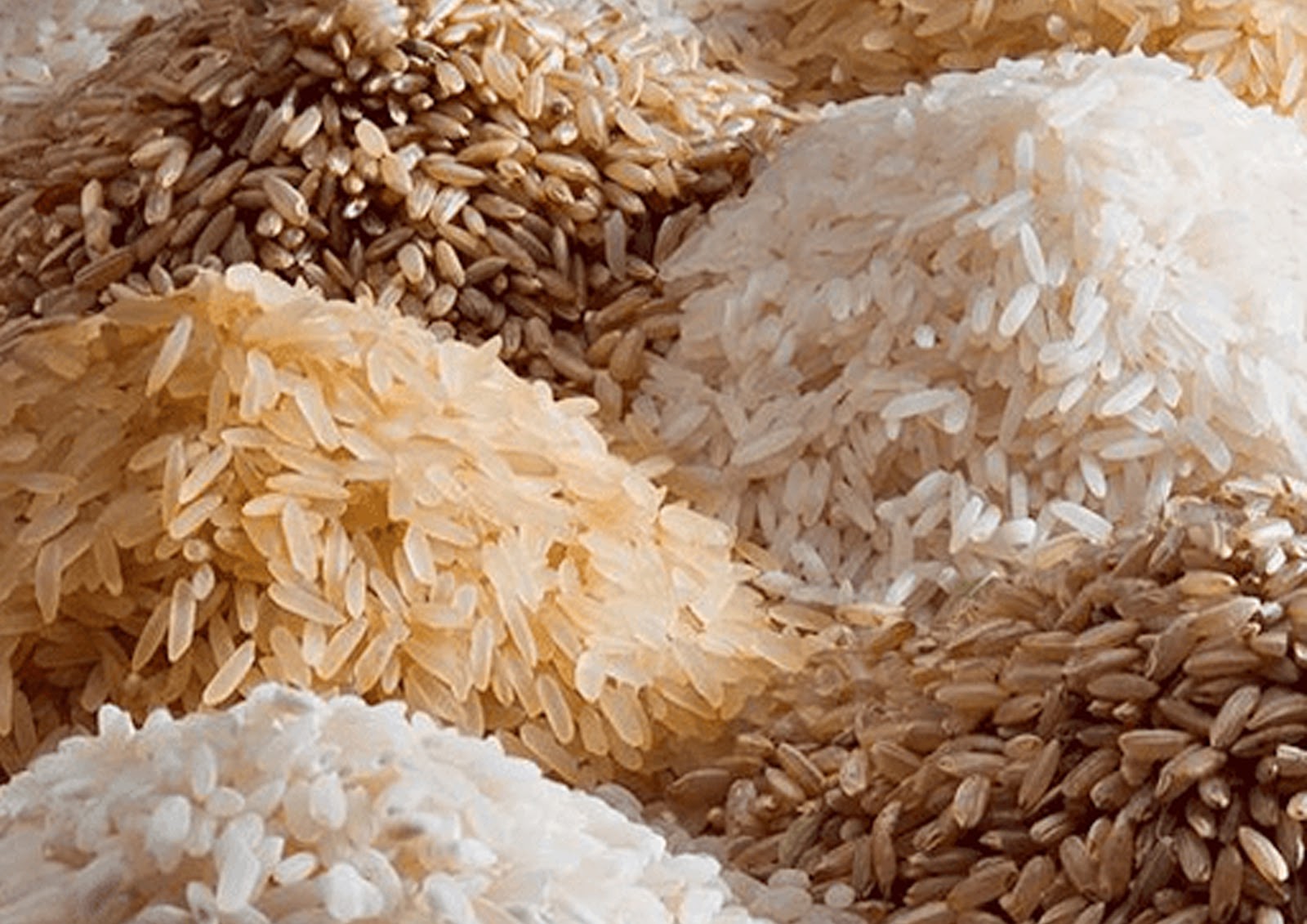 الاردب رفع تاني.. سعر الأرز الشعير اليوم الخميس 10-10-2024 في الاسواق المحلية