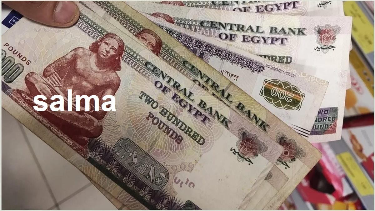 مفيش بطاقة تموين تاني… وزير التموين يكشف تفاصيل الدعم النقدي والفئات المحرومة من الدعم النقدي