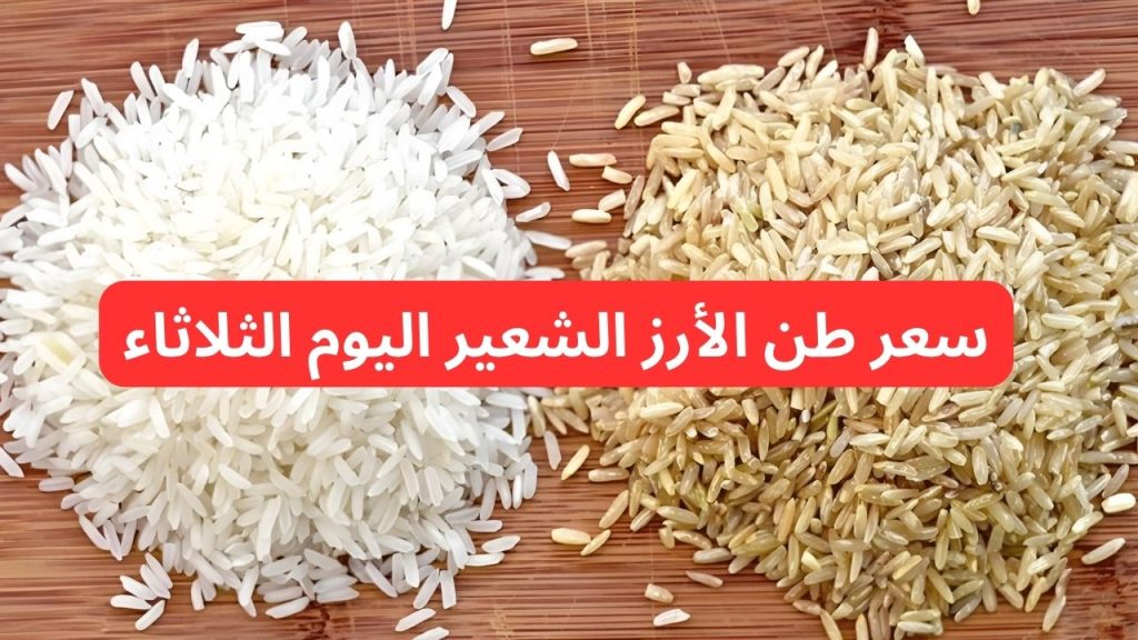 سعر طن الأرز الشعير اليوم الثلاثاء 24-12-2024