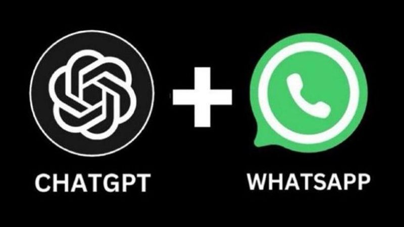 اتصل الآن ..  هذا هو رقم شات جي بي تي واتساب Chatgpt in WhatsApp