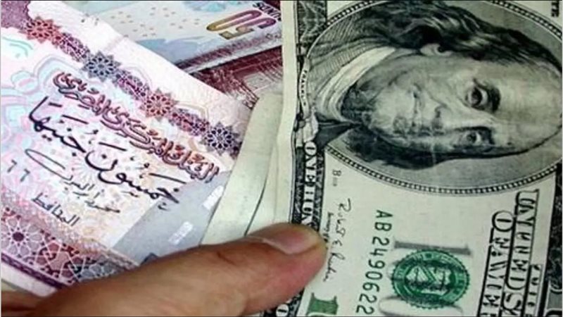 السعر كل ساعة بحال.. سعر صرف الدولار مقابل الجنيه في البنوك النهاردة مع بداية 2025