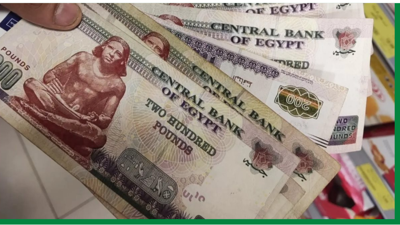 سار لغير العاملين.. مواعيد صرف منحة العمالة الغير المنتظمة لعام 2025