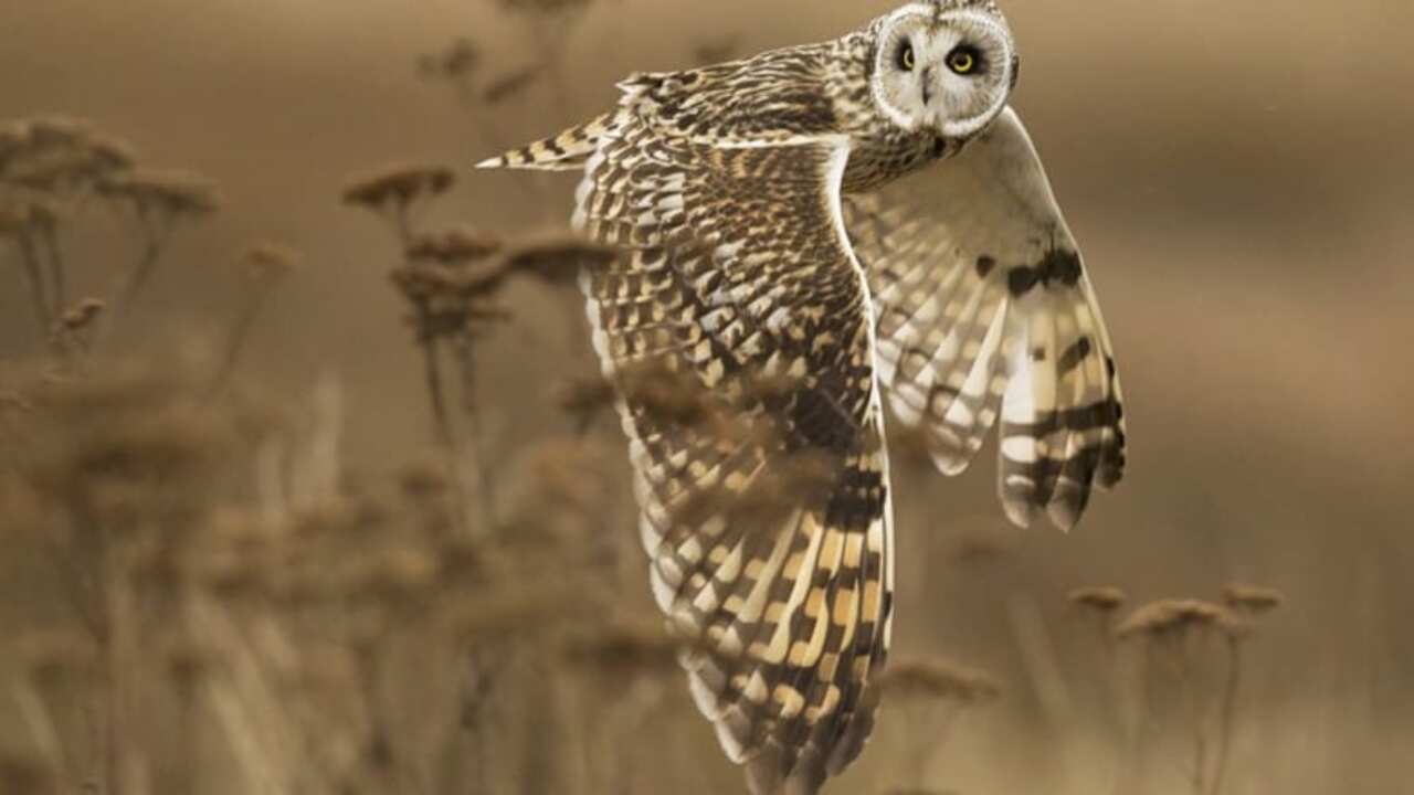 ثقف اولادك .. عبر استقبال تردد قناة ناشيونال جيوغرافيك 2025 على نايل سات وعرب سات