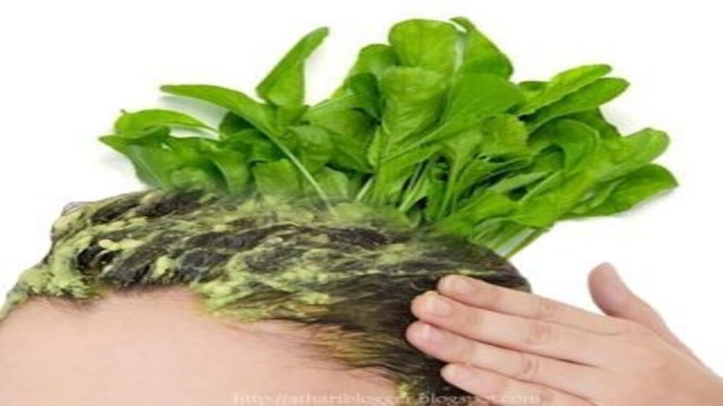 ماسك الجرجير