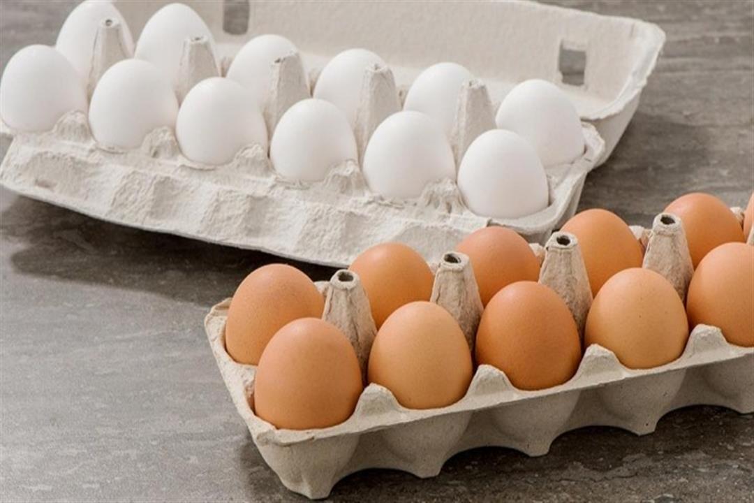 بكام النهارده.. سعر كرتونة البيض اليوم الجمعة في الاسواق المصرية.. شوف وصلت كام