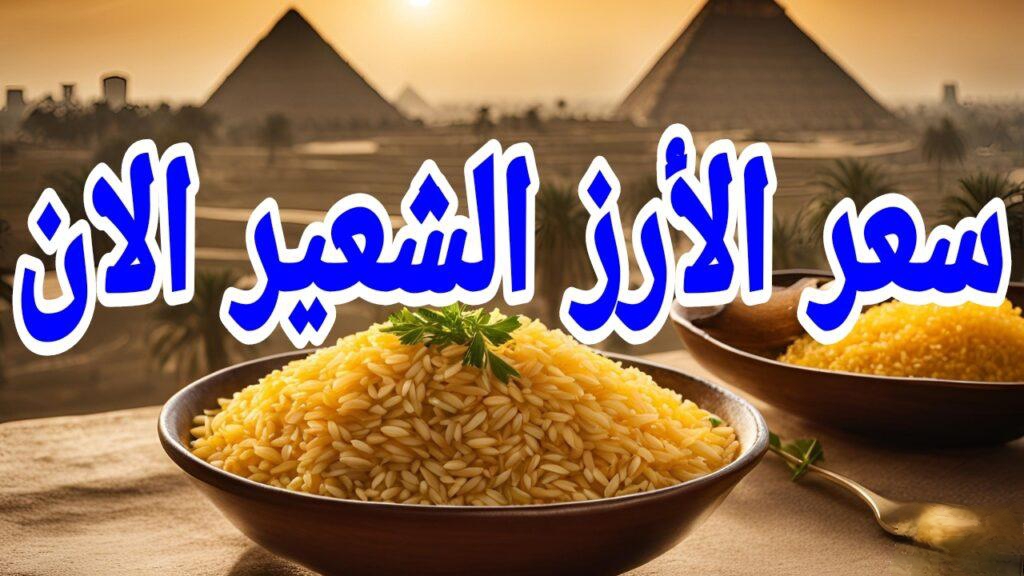العريض والرفيع بكام؟.. سعر طن الأرز الشعير اليوم الأربعاء في الاسواق المصرية.. شوف هتخزن لرمضان بكام