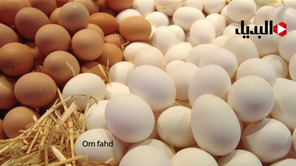 سعر كرتونه البيض