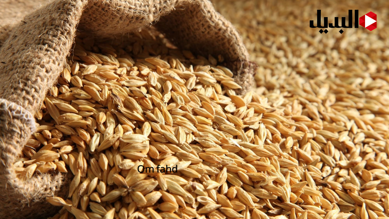 سعر طن الأرز الشعير اليوم الأربعاء 8 يناير عريض ورفيع الحبة+ قائمة أفضل أسعار السلع الأساسية في الأسواق اللحقي خزني قبل رمضان