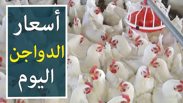 الفراخ تفاجئ الكل.. مفاجاة غير متوقعة في اسعار الدجاج اليوم الخميس 2 يناير 2025.