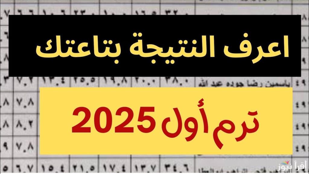 رابط فعال..الاستعلام نتائج الصف الرابع الابتدائي 2025 برقم الجلوس محافظة الجيزة
