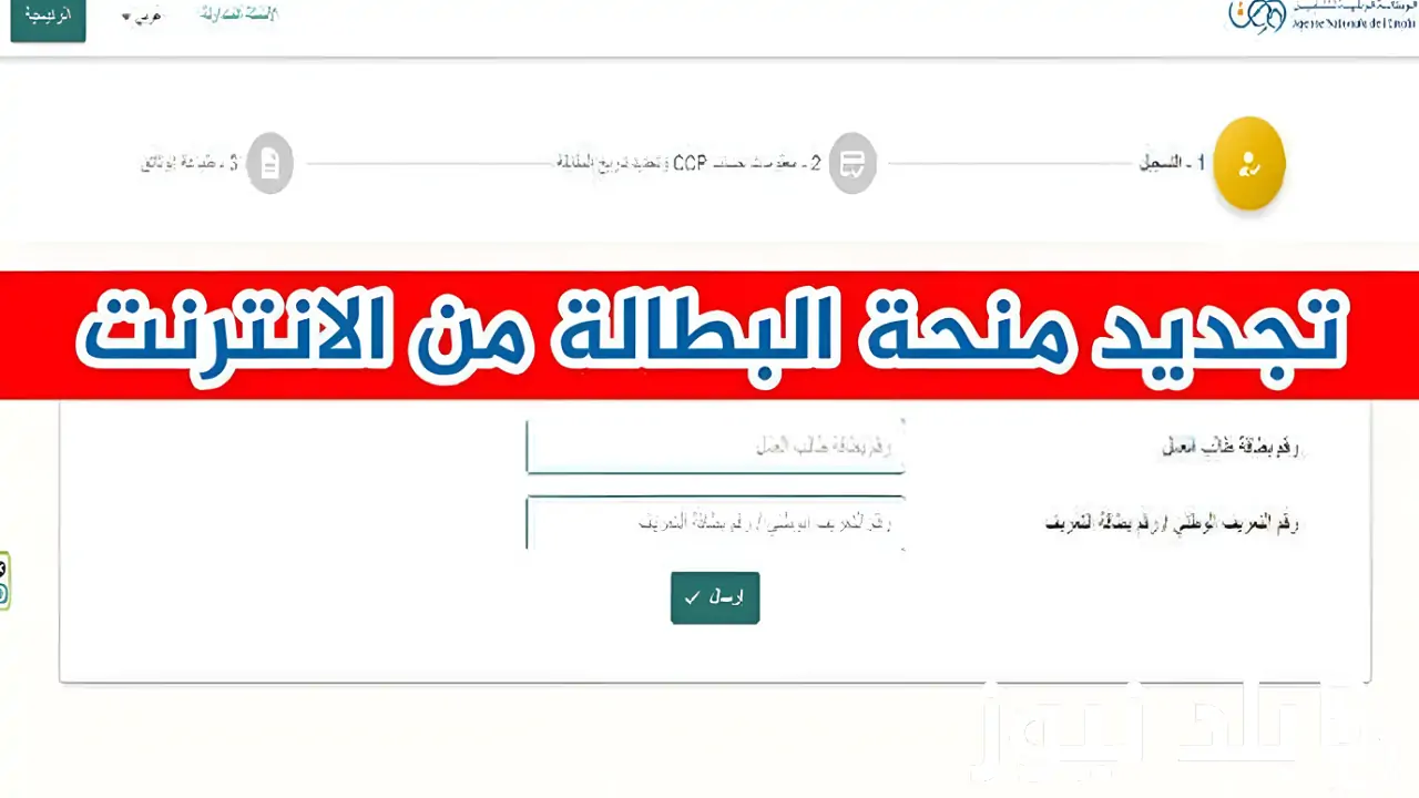 خطوات تجديد منحة البطالة الجزائر 2025 والشروط اللازمة