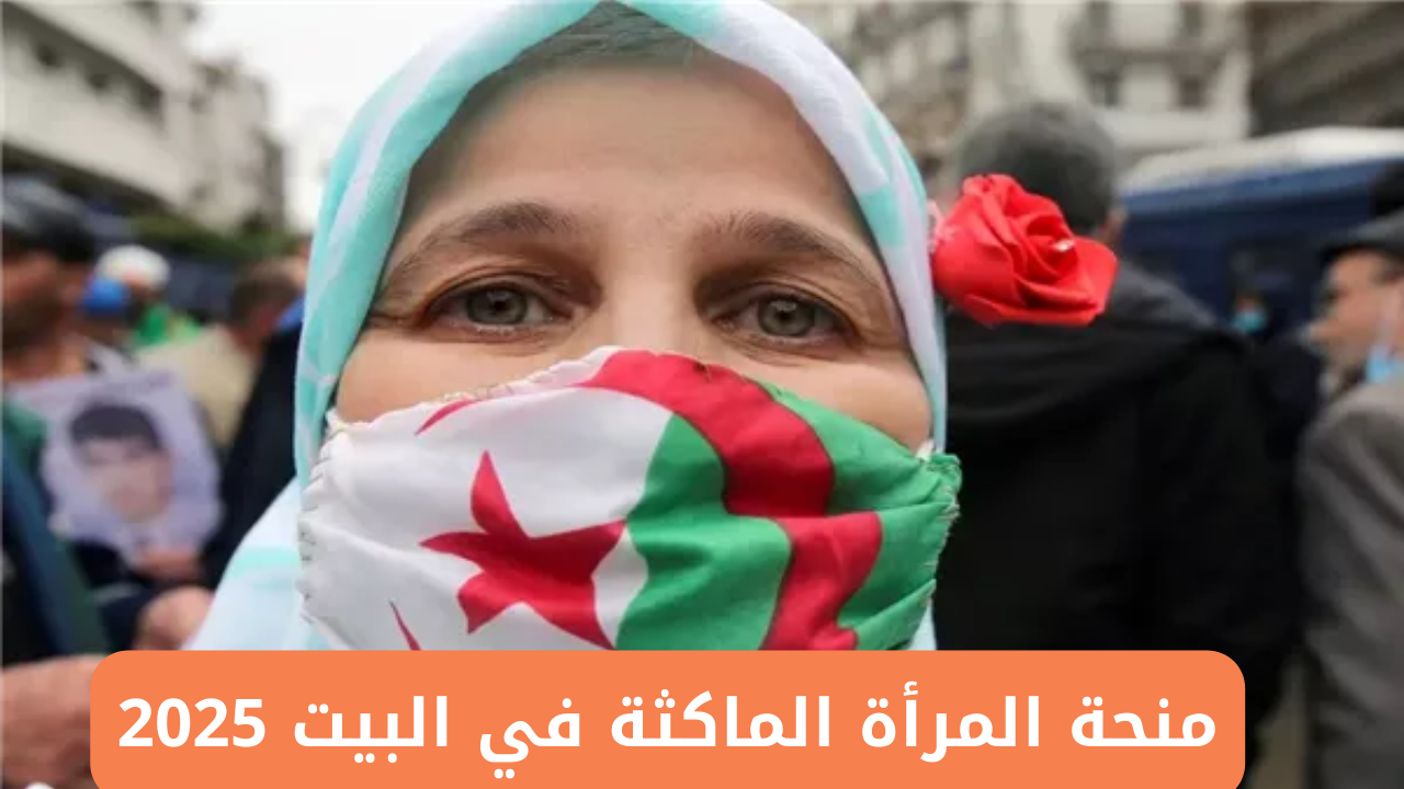 “براتب 800 د.ج”.. الوكالة الوطنية للتشغيل توضح تسجيل منحة المرأة الماكثة في البيت 2025 وشروط القبول في منحة المرأة الماكثة بالمنزل
