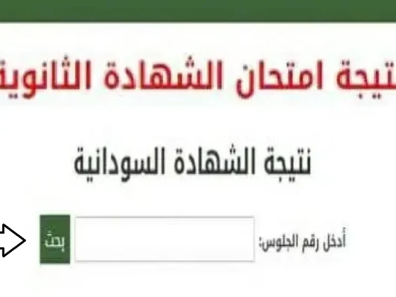 مبروك للجميع.. رابط استعلام نتيجة الشهادة السودانية 2025 بالاسم ورقم الجلوس جميع الولايات عبر موقع وزارة التعليم إلكترونيا