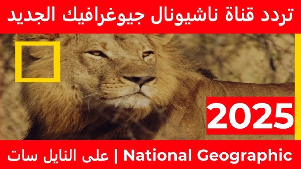 نزلها الآن.. تردد قناة ناشيونال جيوغرافيك الجديد 2025 بعــد التحـديــث
