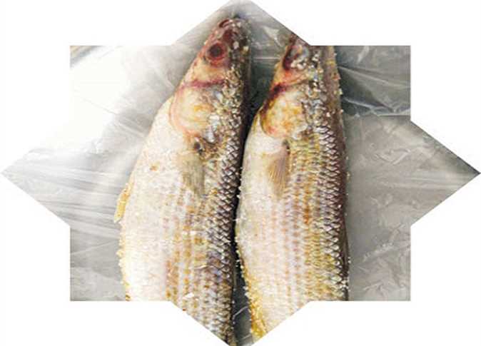 العيد خلص.. أسعار الفسيخ والرنجة تترجع مع انتهاء عيد الفطر المبارك