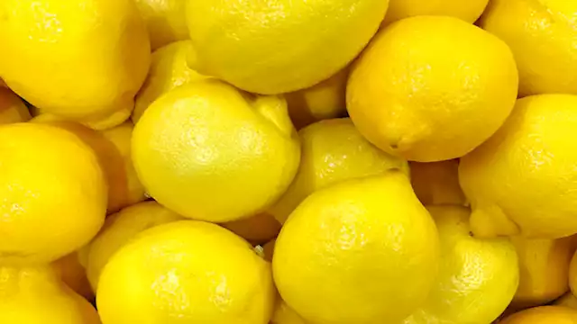 قفز لـ 100 جنيه بشكل مفاجئ.. تعرف على سعر الليمون البلدي وأسعار الخضراوات اليوم مع دخول شهر رمضان.. ما سبب الارتفاع؟