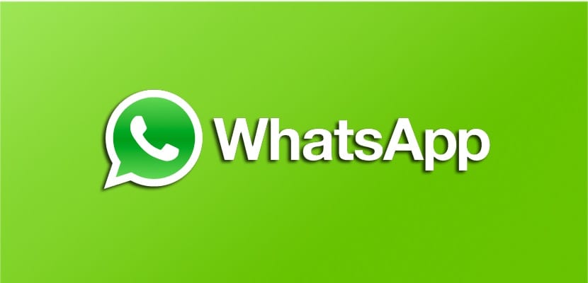“هتندم لو فوتها”.. مميزات ولا في الخيال في تحديث الواتساب الأخضر الأصلي WhatsApp 2025.. ضيف أكتر من رقم على نفس الواتس 