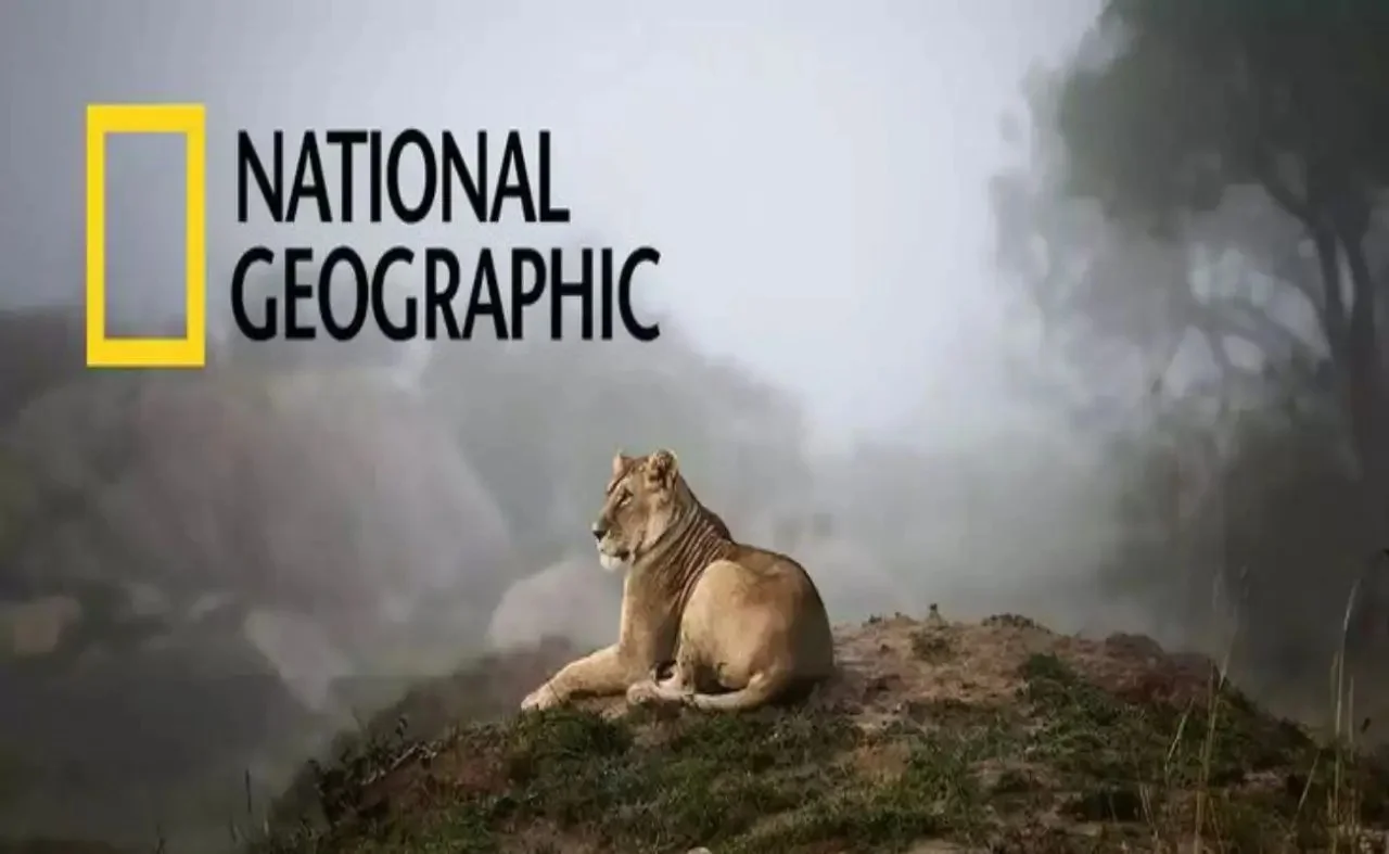 عالم الطبيعية والاستكشاف.. تردد قناة ناشيونال جيوغرافيك National Geographic بأعلى جودة HD على جميع الأقمار