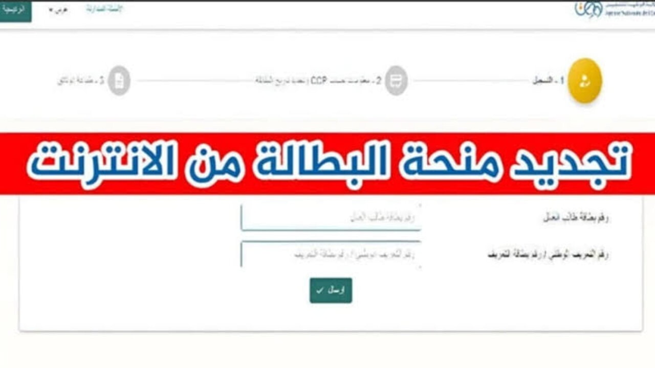 خطوات تجديد منحة البطالة كل ستة أشهر .. عبر الموقع الرسمي للوكالة الوطنية للتشغيل 2025
