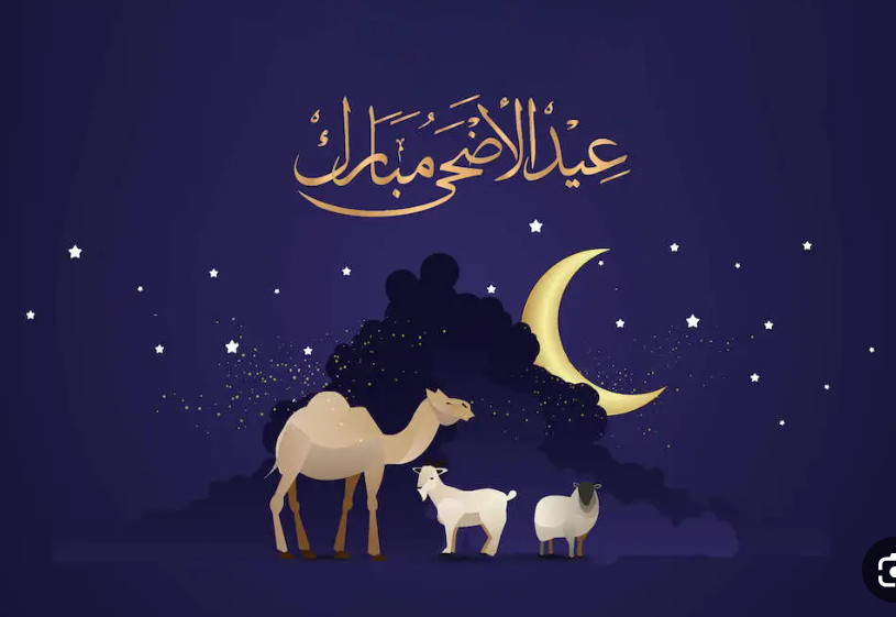 سعر كيلو العجول قائم في سوق.. عيد أضحى مبارك