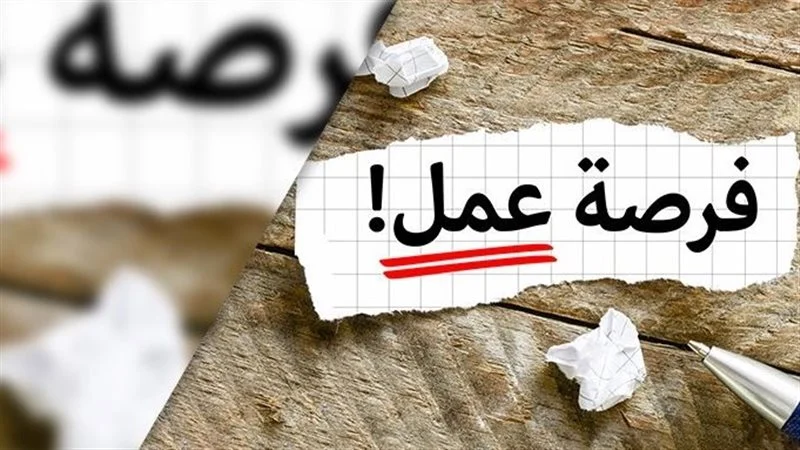 بـ8000 جنيه شهريًا.. وزارة العمل تعلن عن فرص عمل للشباب في شركات كبرى بوظائف متعددة ومجالات متنوعة