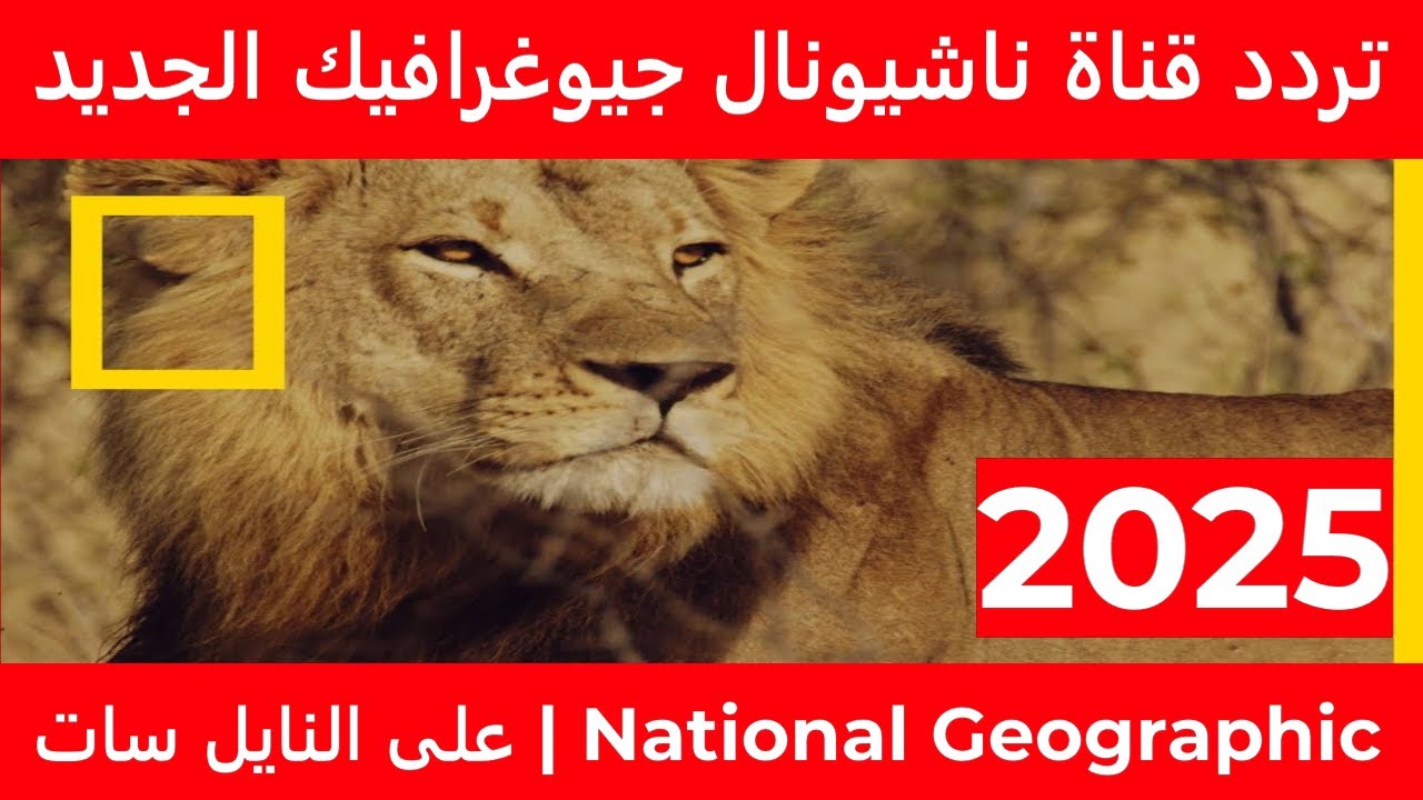 ثبتها وتابع أحدث البرامج الثقافية على تردد قناة ناشيونال جيوغرافيك ابوظبي 2025