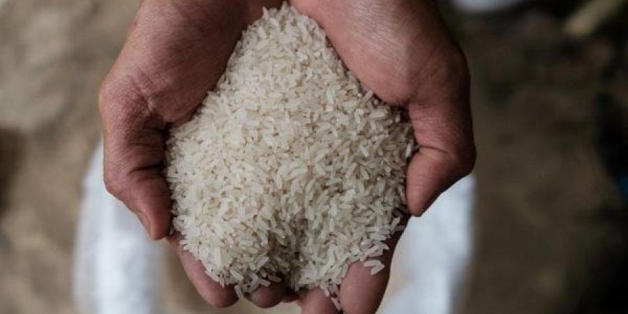 “بكام رفيع الحبة بالأسواق” سعر طن الأرز الشعير اليوم الثلاثاء 27 مايو 2025 في مصر