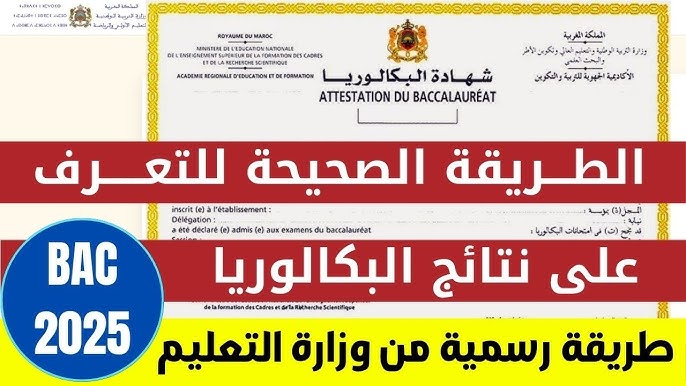 لينك سريع.. نتائج امتحانات البكالوريا 2025 لكل المحافظات عبر موقع وزارة التربية الوطنية