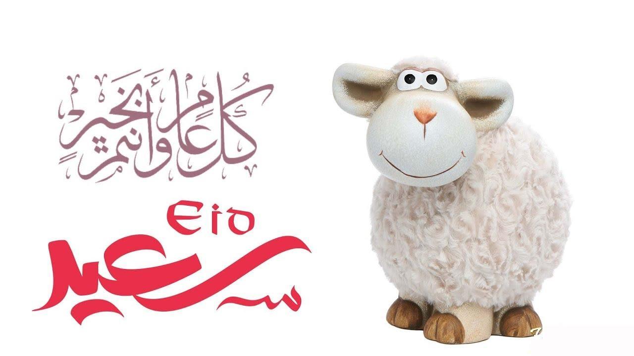 قرار رئيس الوزراء اجازة عيد الاضحى 2025 تبدأ اليوم الخميس 5 يونيو وتنتهي بهذا التاريخ رسميًا