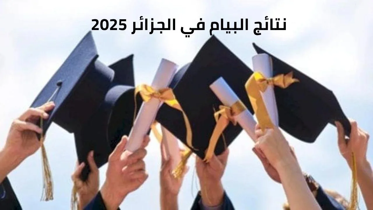 “برقم التسجيـل” رابط نتائج البيام 2025 الجزائر لدورة جوان عبر موقع الديوان الوطني الجزائري bem.onec.dz