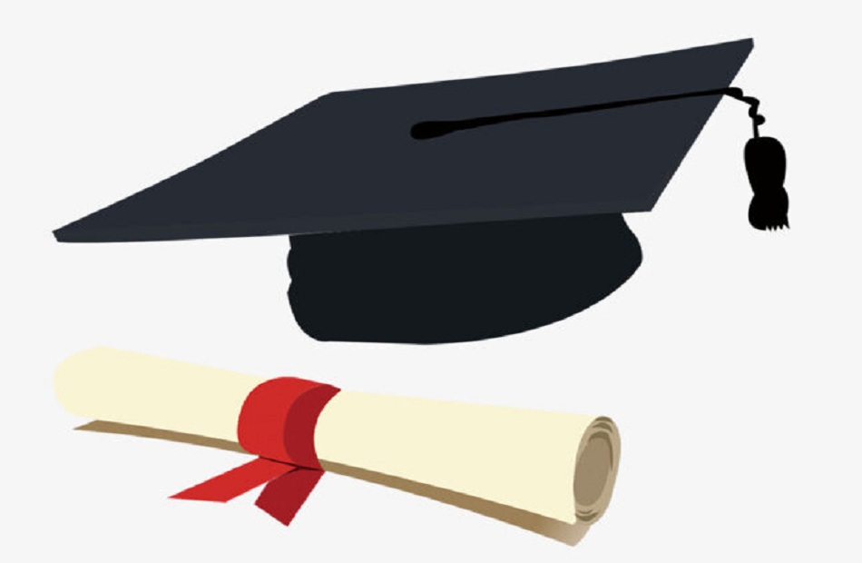 هاتها دلوقتي.. نتيجة الشهادة الإعدادية بالدقهلية 2025 من غير رسوم now