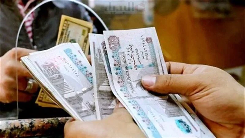 راتبك في شوال الشهر دة .. الاستعلام عن رواتب الموظفين شهر يوليو 2025 بالزيادة الجديدة