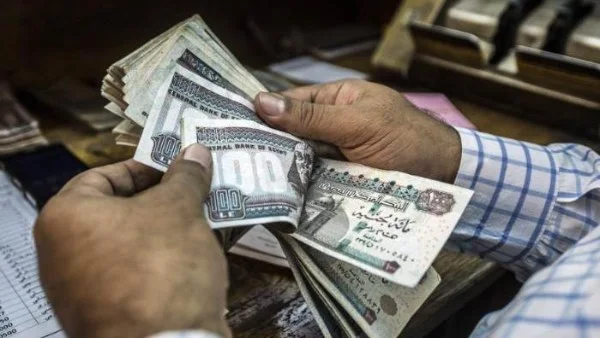 خطوات الاستعلام عن رواتب الموظفين لشهر يوليو 2025 “اعرف مرتبك وصل كام”