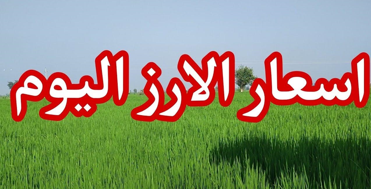 بكام الأردب الآن.. سعر الأرز الشعير اليوم في مصر الثلاثاء 30 سبتمبر 2025