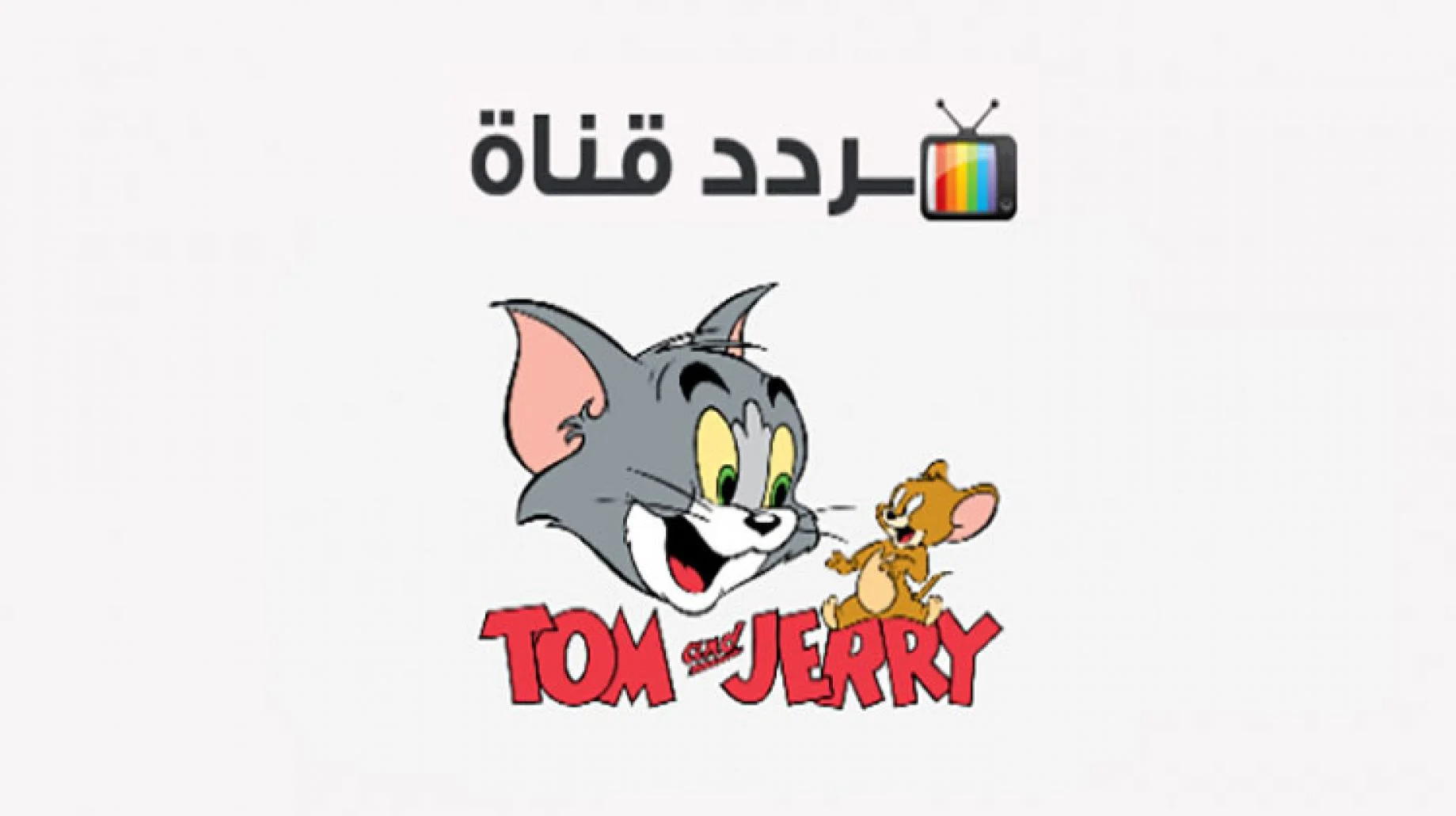 TOM & JERRY تردد قناة توم وجيري الجديد واستمتع بمغامرات وضحك طول اليوم 2026