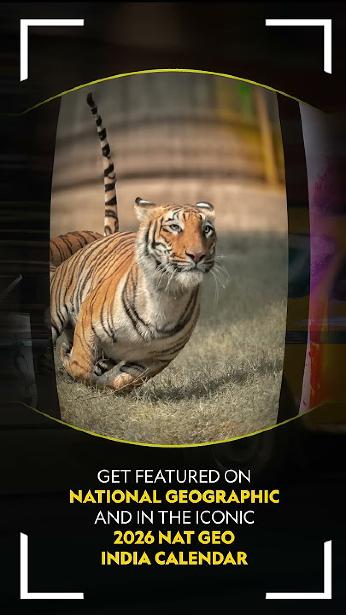 تحديث 2026: تردد قناة ناشيونال جيوغرافيك أبو ظبي الجديد – استمتع بأقوى محتوى وثائقي بتقنية HD