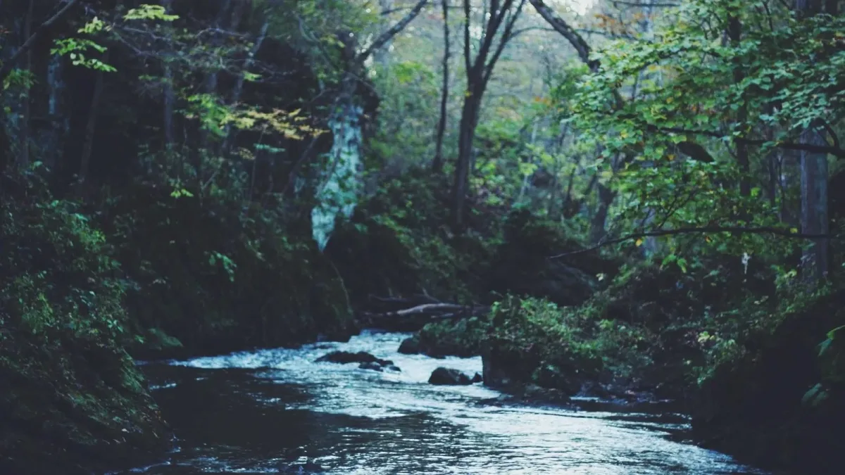 استقبل الآن قناة وناسة 2026 بأفضل جودة على النايل سات -خطوات التنزيل الكاملة